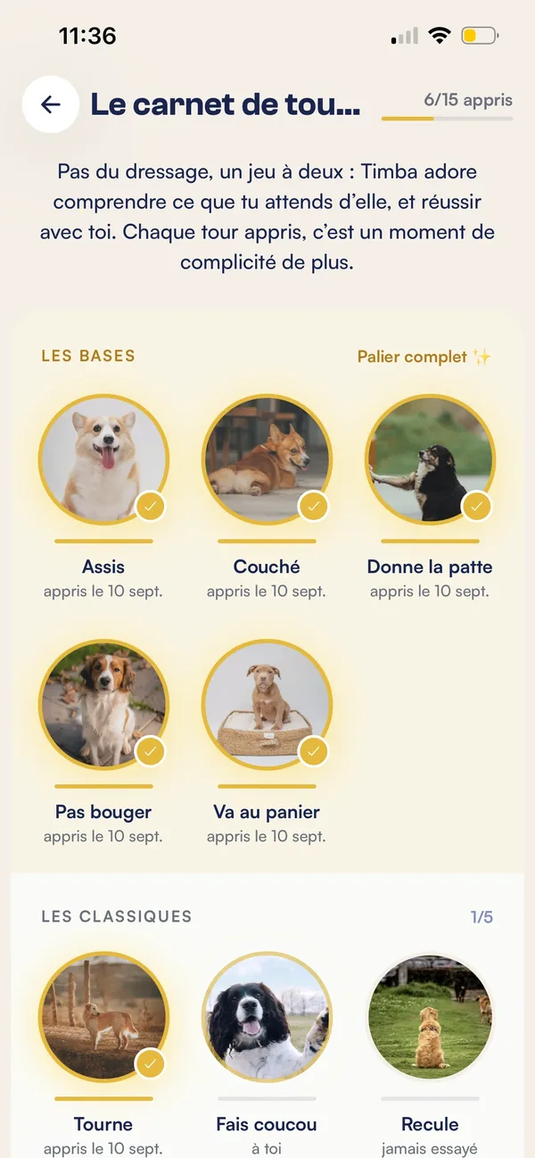 Flair&nbsp;: carnet de tours